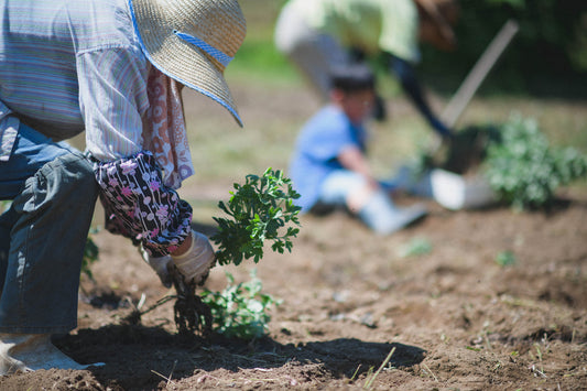 「花を植える」に込めたふるさとへの想い