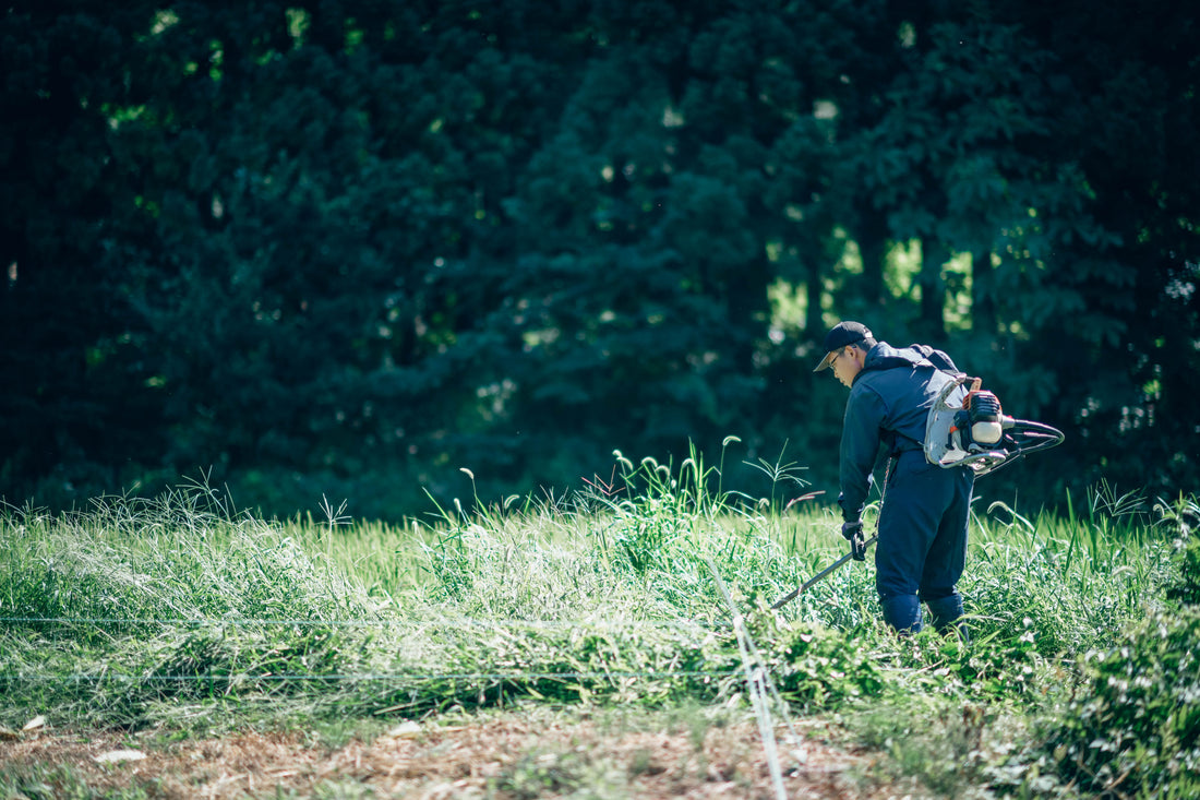 米づくり 88の手間　その34　畦畔の草刈り 終わりのない作業