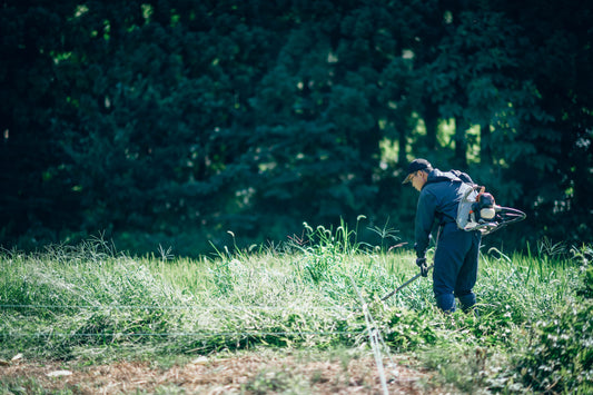 米づくり 88の手間　その34　畦畔の草刈り 終わりのない作業