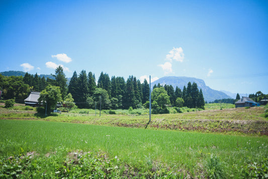 「いちのまい」を旨くする山あいの集落　市野々で米づくりに取り組むわけ