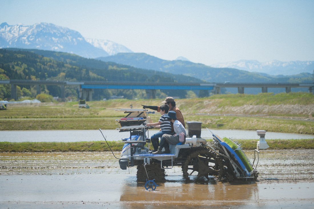 募集終了しました！　田植え体験