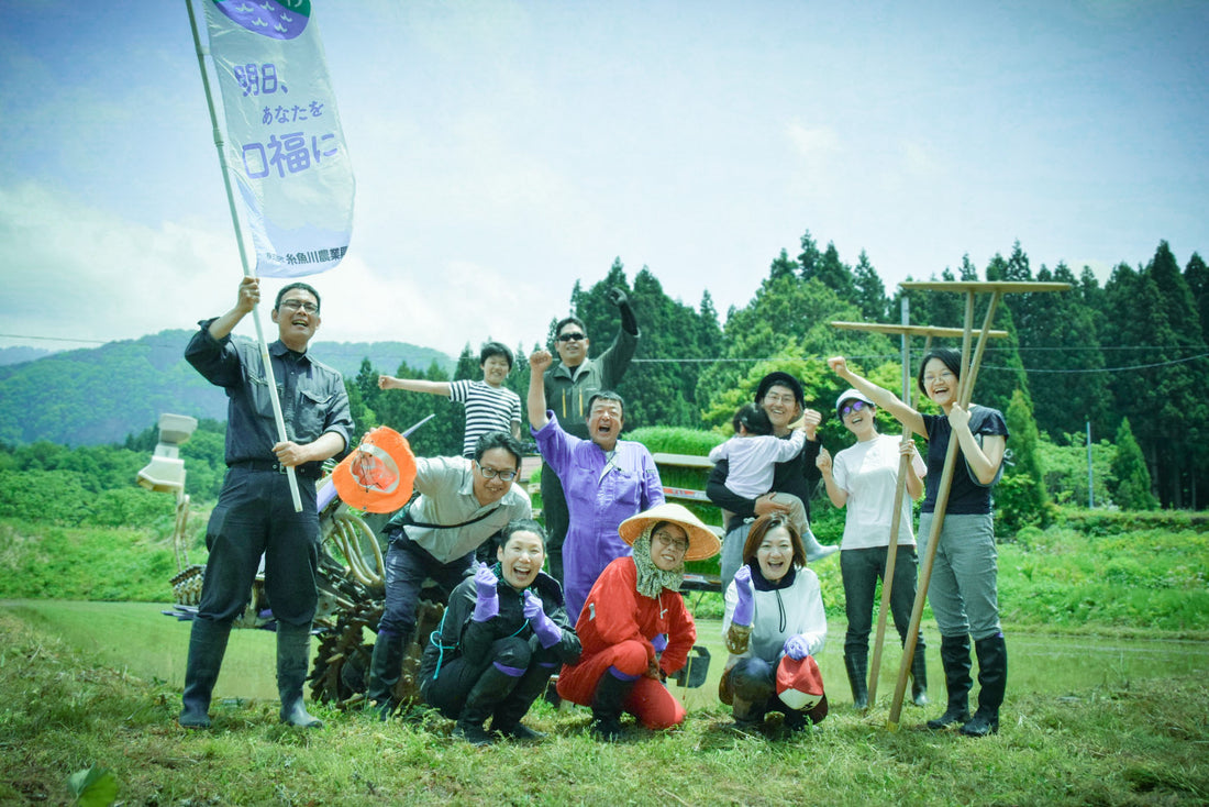 農業体験　田植え機でのリアルな田植えを体験　新潟県糸魚川市