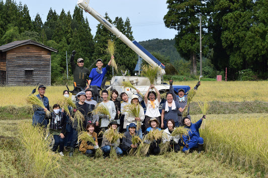 稲刈り＆大根収穫体験2025 in 糸魚川