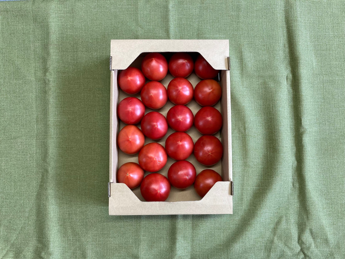 2022 夏　トマトに起きた出来事