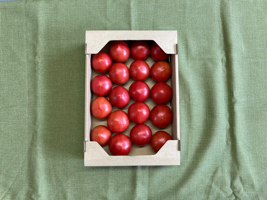 2022 夏　トマトに起きた出来事