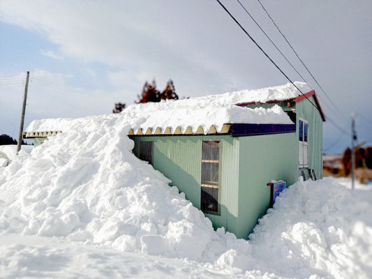 あぐり通信 Vol.15（2025.03.14）