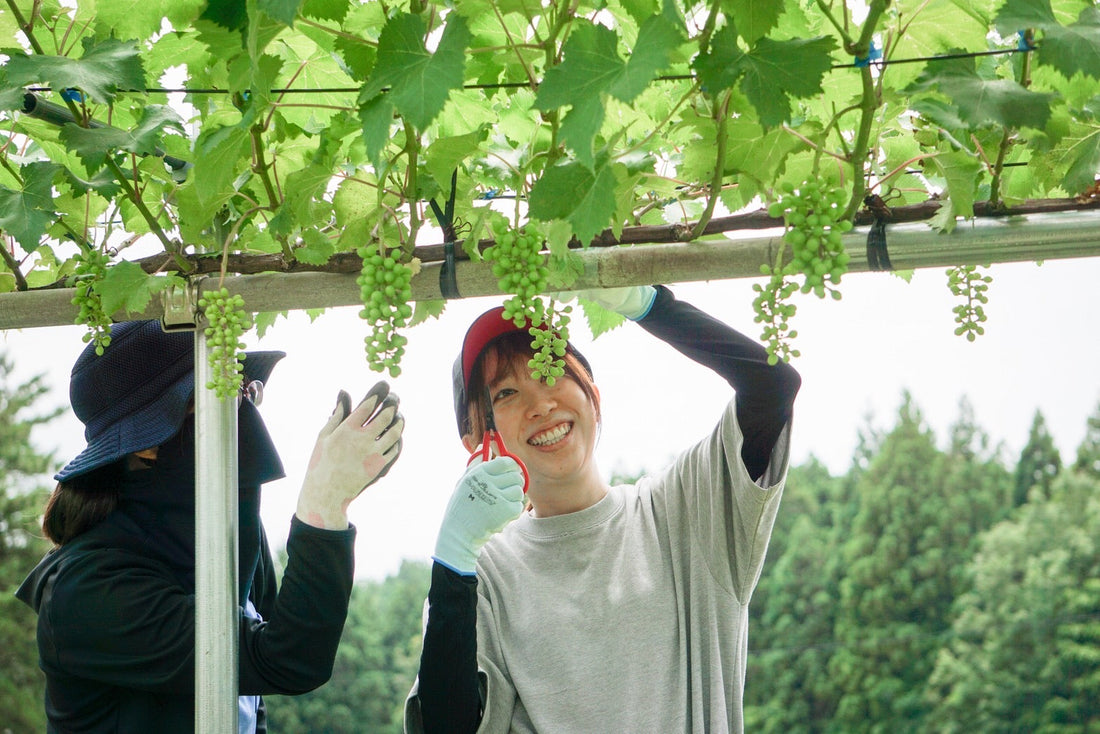 年末年始休業のお知らせ