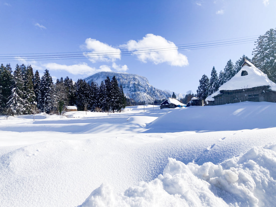 あぐり通信 Vol.25（2026.01.15）