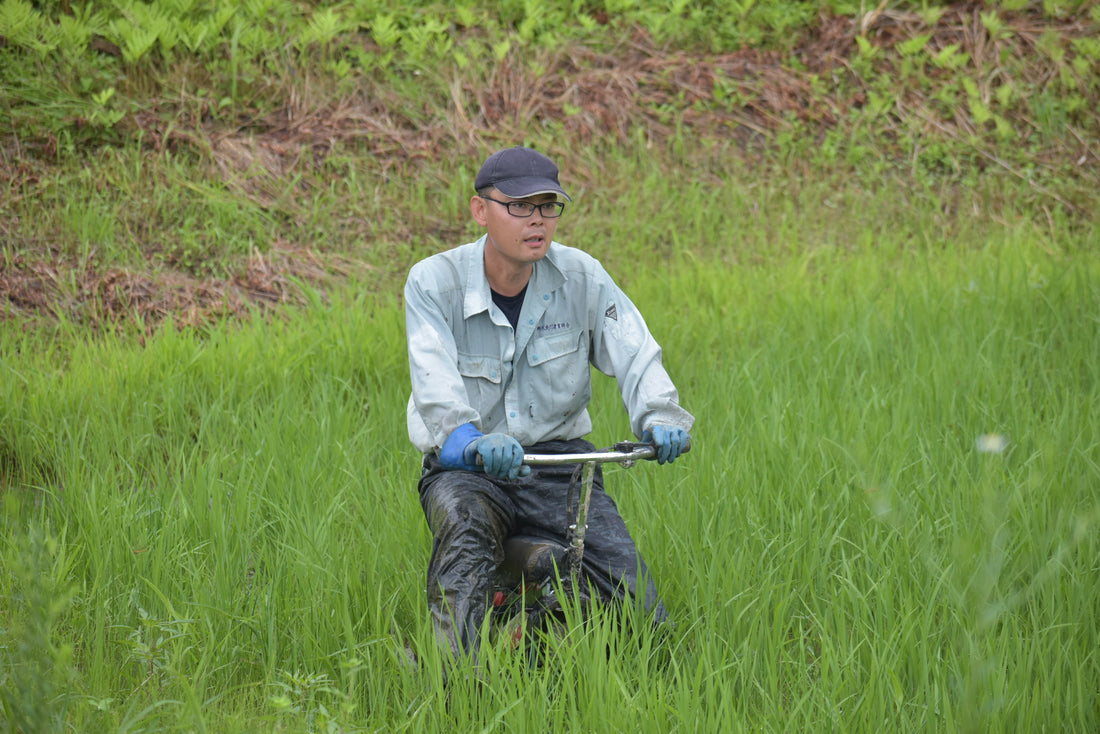 あぐり通信 Vol.11（2024.11.15）