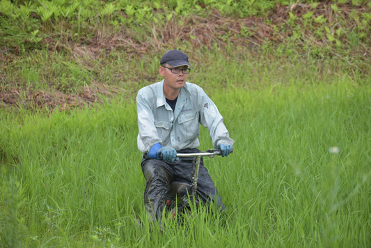 あぐり通信 Vol.11（2024.11.15）